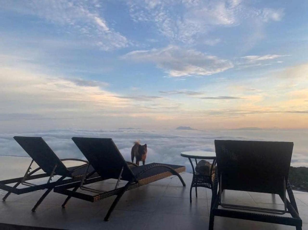Chuon Chuon Villa Homestay Tam Ðảo Eksteriør bilde